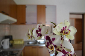 APARTMAN Ruža i Josip Pičuljan,Lopar 386